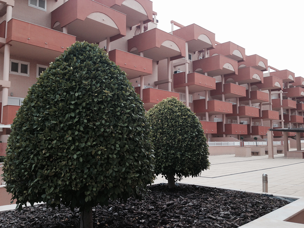 Solver. Adecuación, reformas y gestión